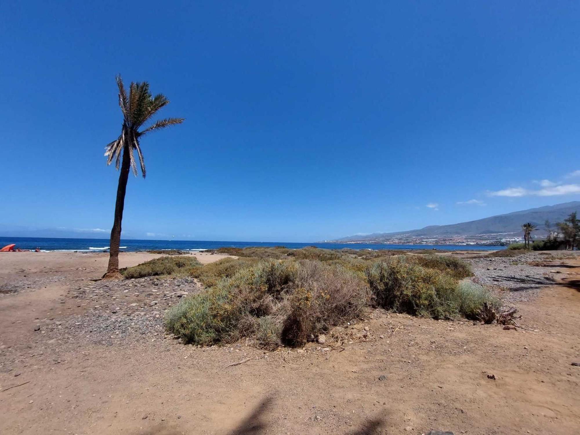 Apartamento De Un En Mareverde E14 Costa Adeje (Tenerife)
